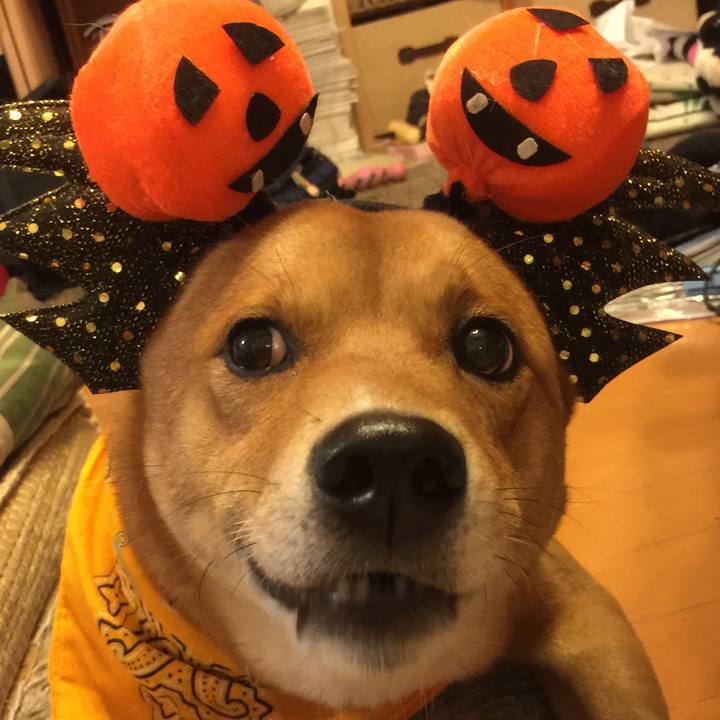 002e564a 9762 4b62 82d9 e83558cceba0 1509282438153