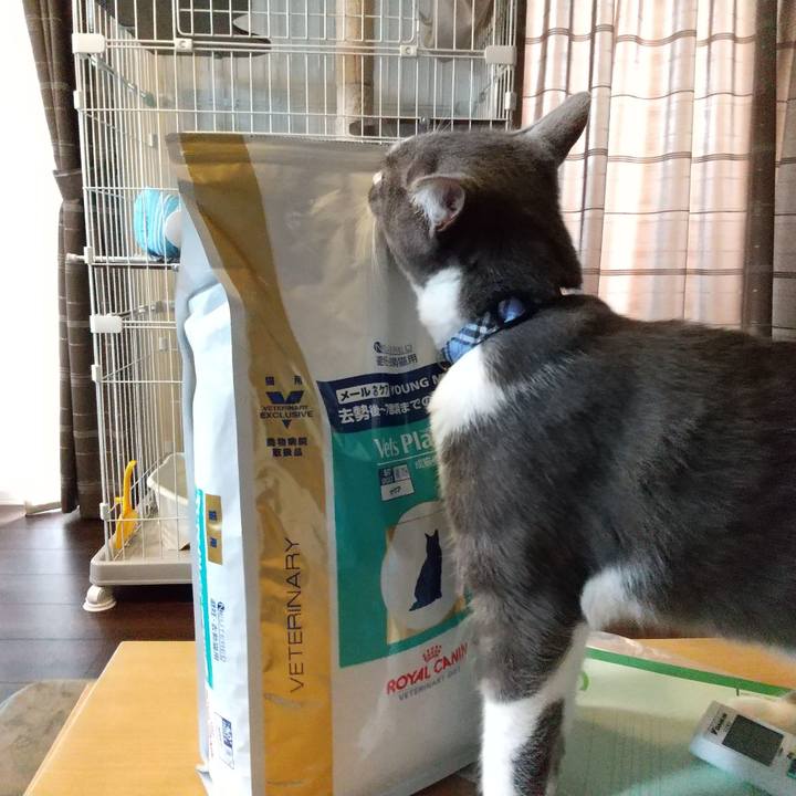 002e8719 818b 4478 ac30 d5c5559d26e6 1600297277773