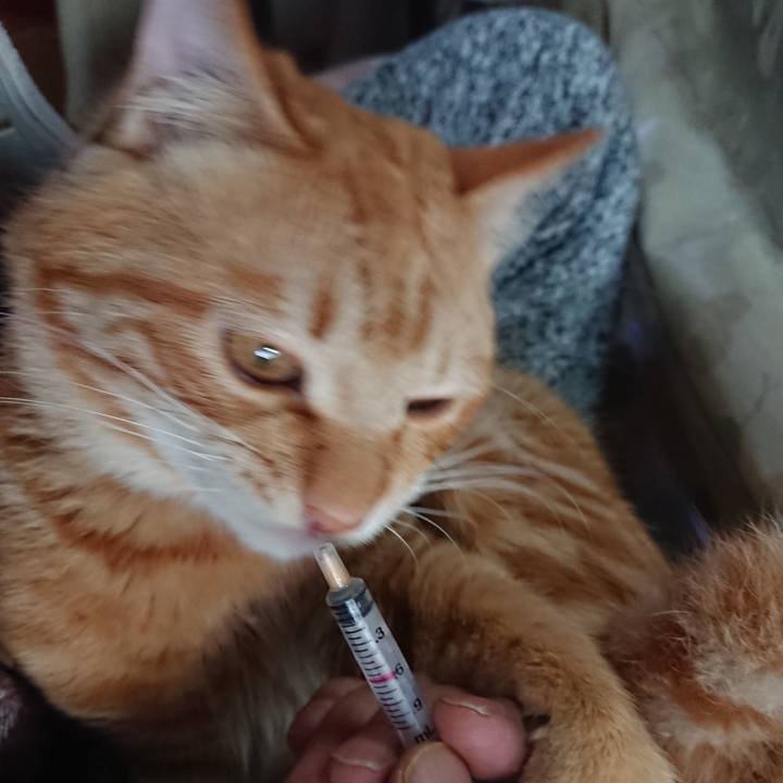 002ea794 0696 4d2e 8331 184a4e344bfb 1645568605390