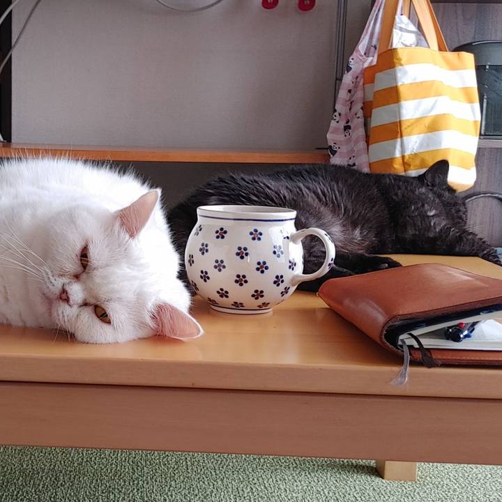 002ec88a 645e 44a6 b391 e906d208c89b 1630219238861