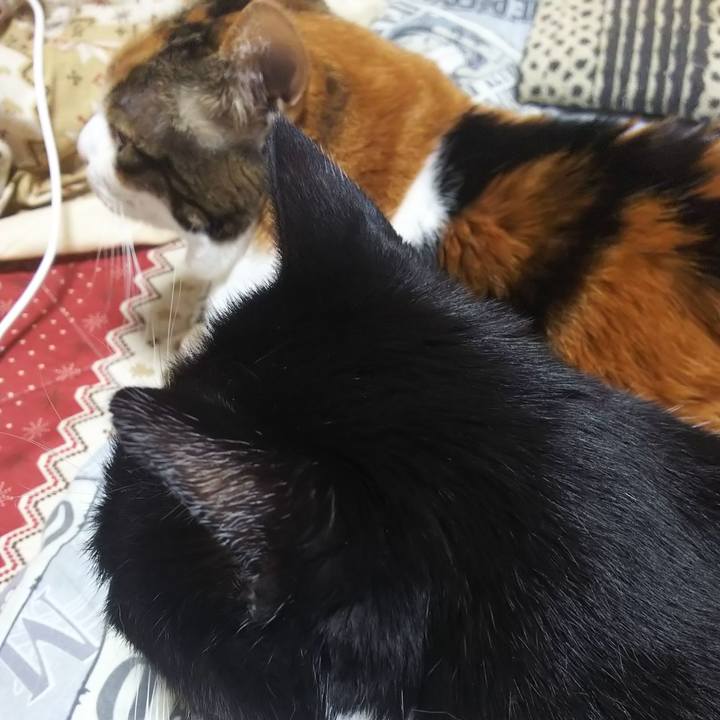 002ed8e8 c1fe 472e 94a2 7e97407b727d 1584870085680