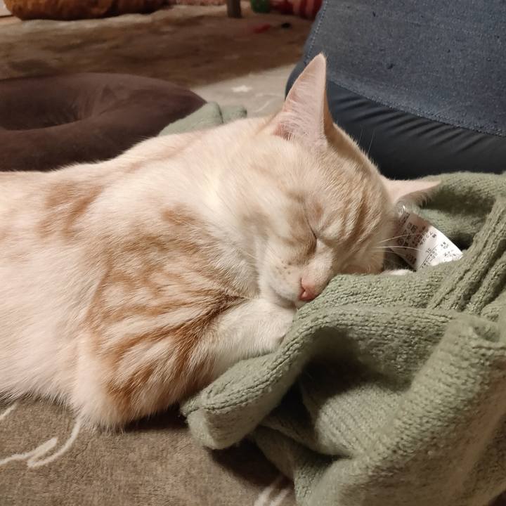 002ee2df f0c6 4d2e a800 68352119bc80 1647632403132