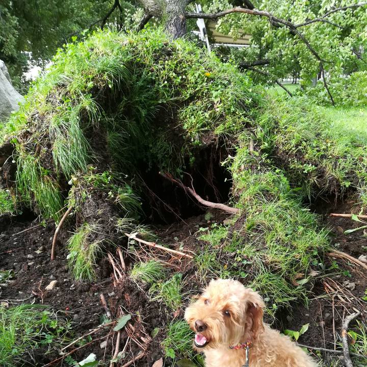 002f2c12 e714 43cc be4f 2d6f7e01cfe2 1536099212103