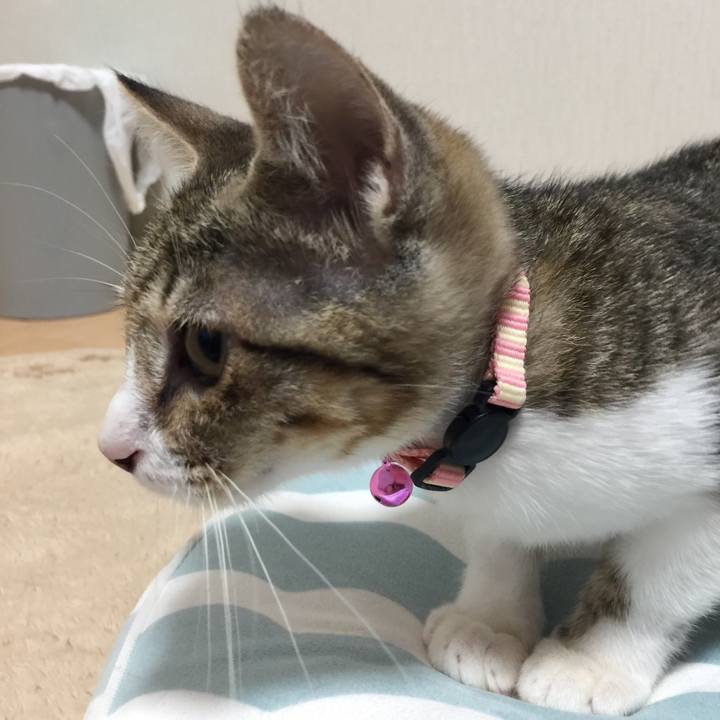 002f7c48 a768 4fe6 99ef 07b66b717406 1536153984132