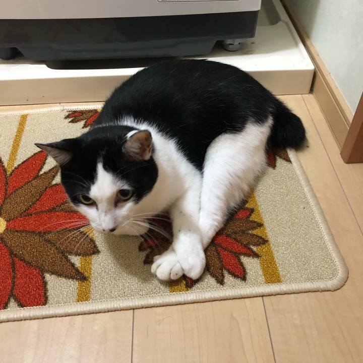 002fe00b 9f3a 4e33 af89 814444aec412 1567013579540