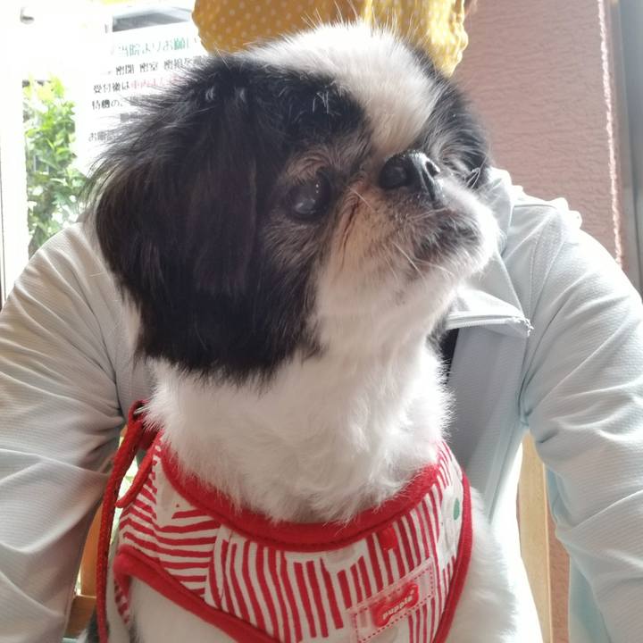 003060b6 f923 44ea 8878 f91505f1e91a 1590471525514