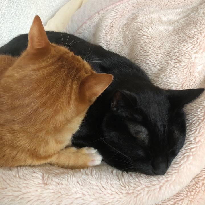 00307497 6a4f 44e9 a0dd 0f17ef2e143f 1713652806640