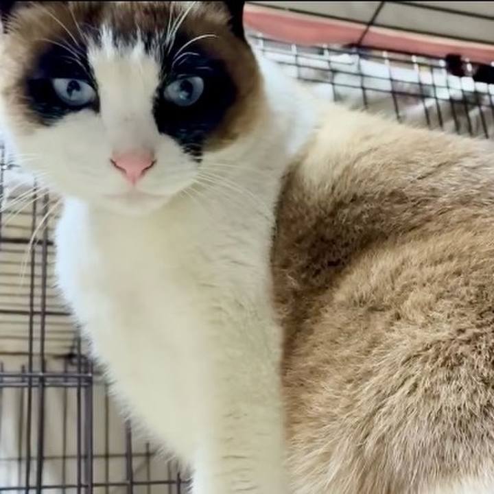 0030996e 2682 4229 94e3 1688b074b913 1772282306082