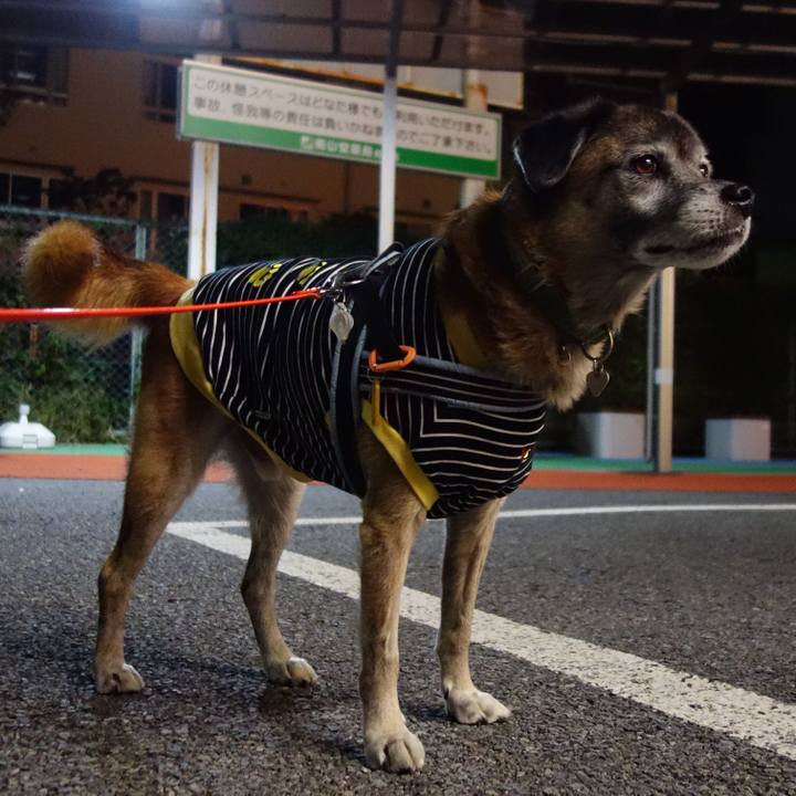 00309c2b b05d 415a 8567 5fca12ae93b9 1570975512658