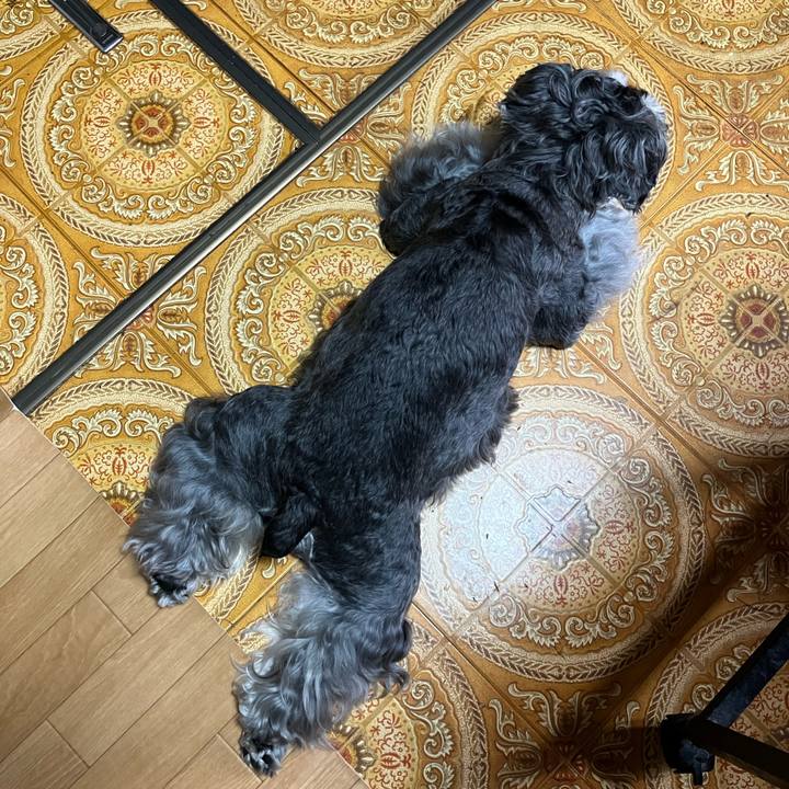 0030b600 2129 4754 8fa9 cfd8e2cdd82f 1725780010142