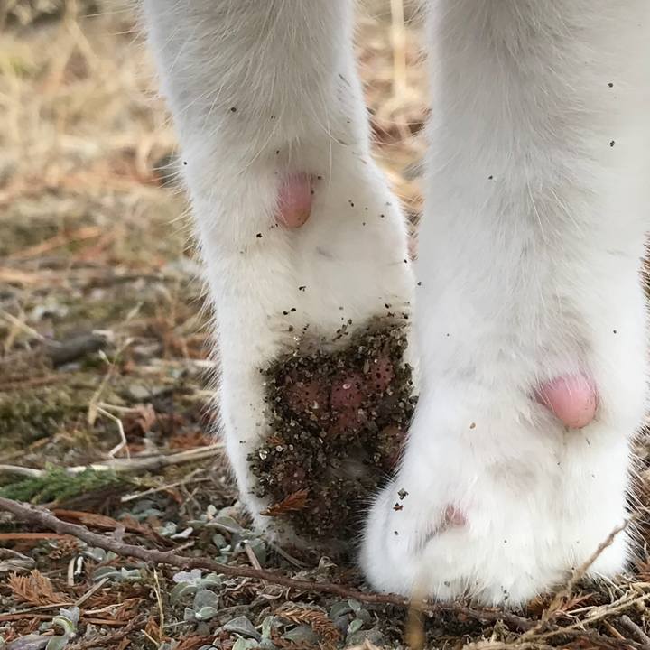 0030d696 be98 48fd 89e6 1c1694d9de03 1514686685073