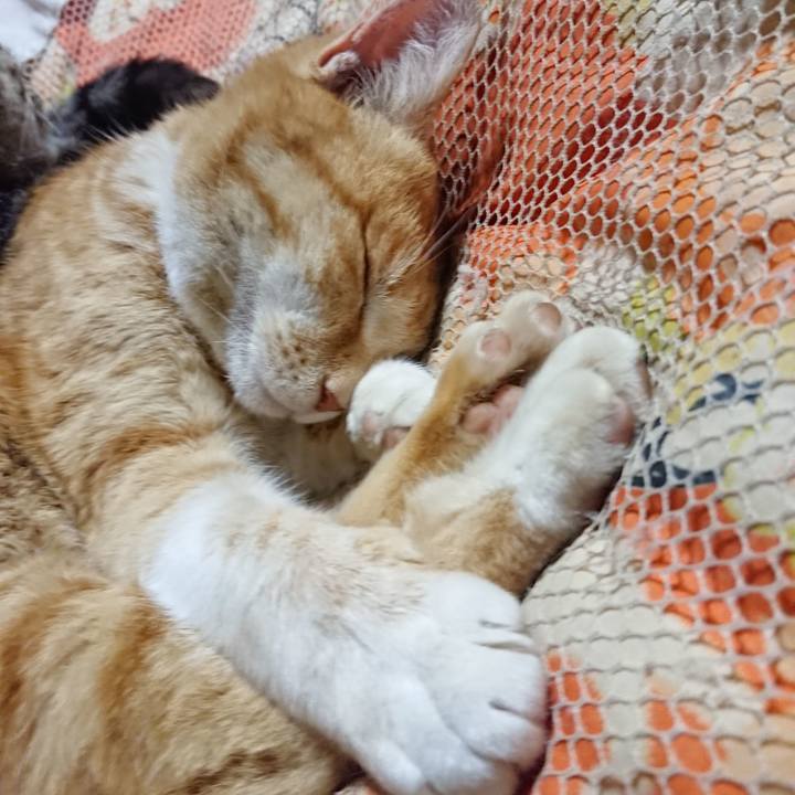 0030df7f 4e2b 4d38 94f0 8abae68f00fe 1584365648438