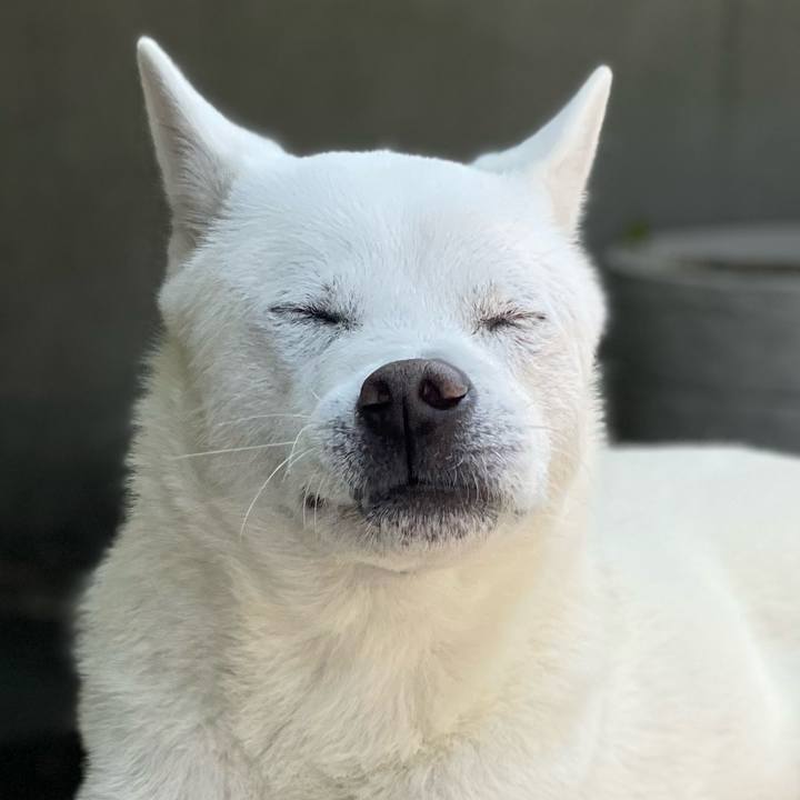 0030f882 6d50 4ece b551 a462bcf6ff81 1680401307087