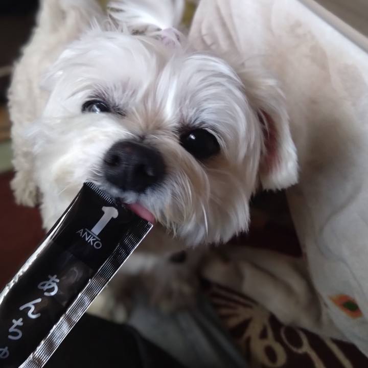 00311bdb 4e0a 4cdb 9f21 f6bf936521a1 1742897882990