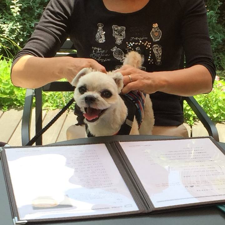 003137fa ba0f 42aa 9387 141f275423b6 1527925160788