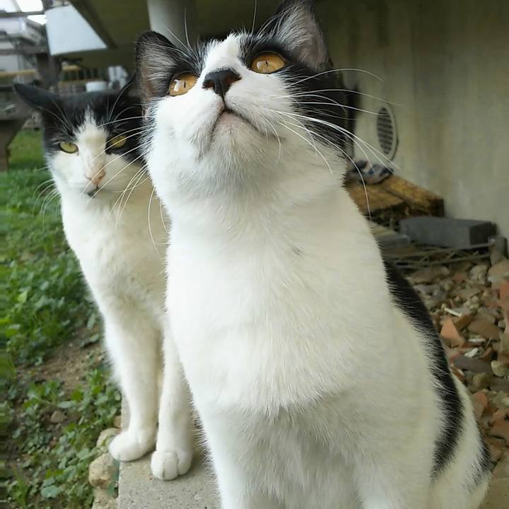 00316c3b 4856 49f8 962a f03667e129c9 1541657201372