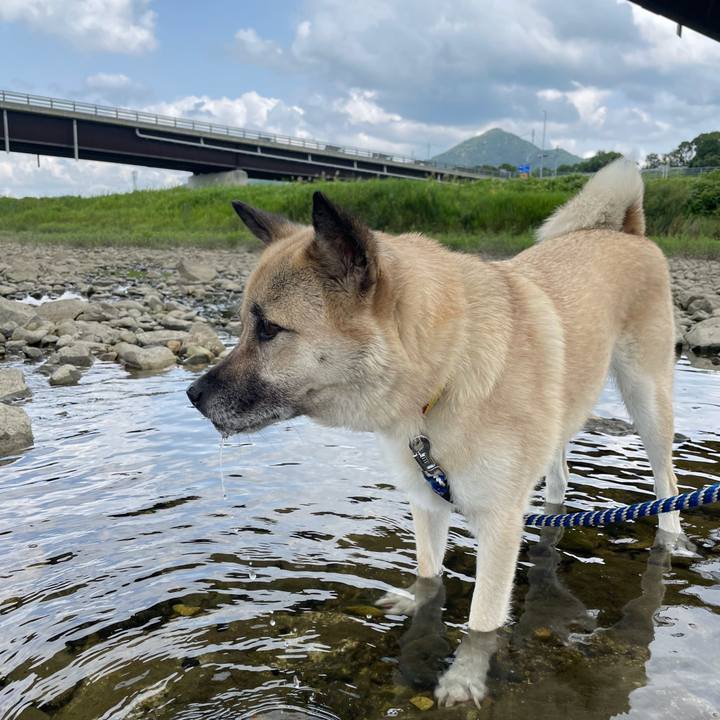 00317941 1ef0 45cd 9cea 82b07b4ef6ef 1657459333142