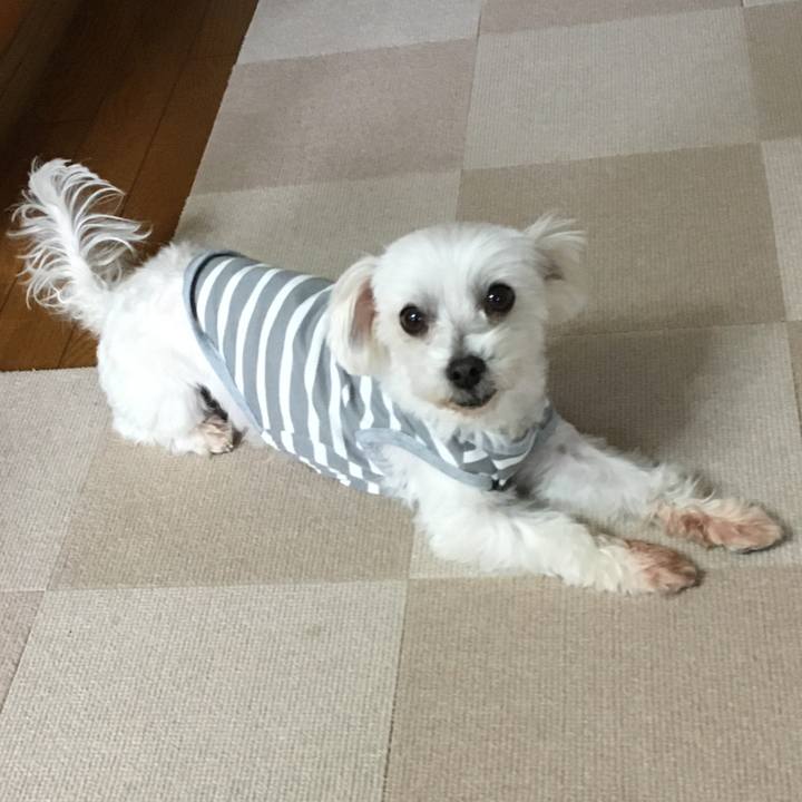 00317f66 9fe6 4f56 94e3 039aaf481027 1606972301384