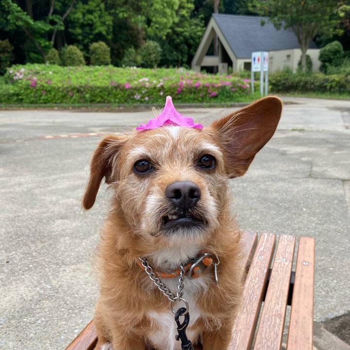 00319d5b ff9c 4f00 be10 4cdf6e05caa2 1651060653227