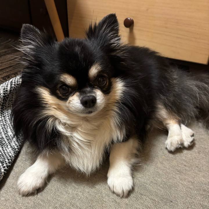 0031e7b0 9a3e 4a82 94f8 1d8f8829370c 1766234921014