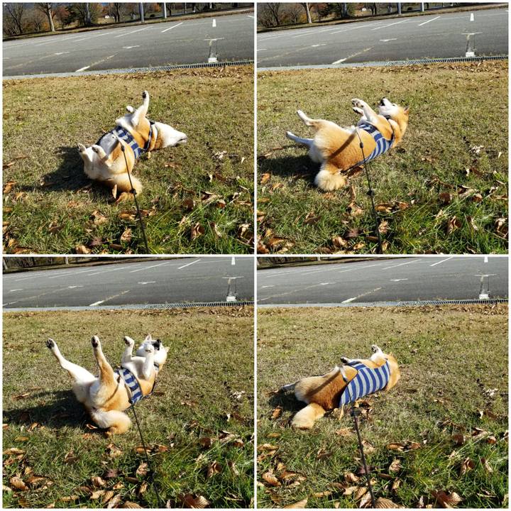 0031e889 74d7 4b8d 8c14 3d6cb1c6fb5e 1637640422353