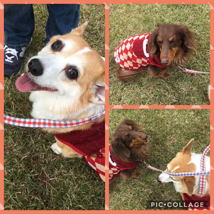 003227ff 66ea 4730 a566 f003b4513038 1509862260009