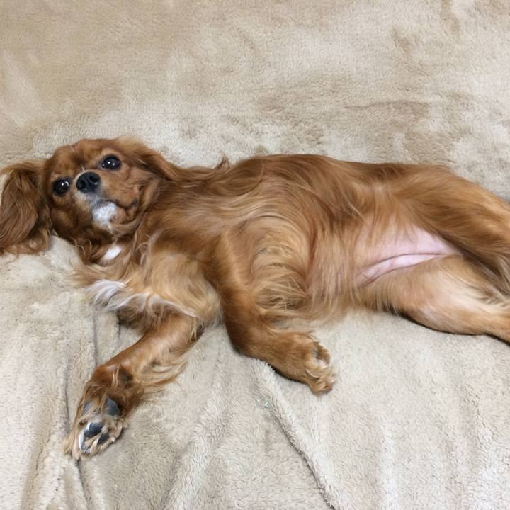 00323275 58b8 4012 9e9b 728989d0ce6e 1524486514834