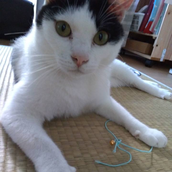 003239dc 62e6 401c 8eb3 9be14313585e 1537098792349