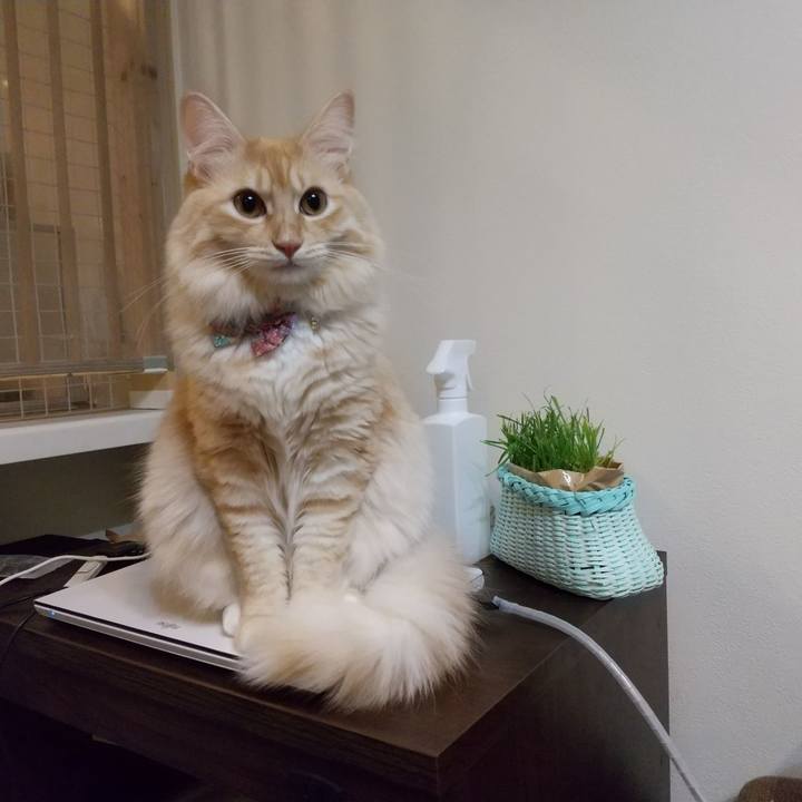 00324b36 ad68 43e0 bade 43c7f71a7589 1635939723128