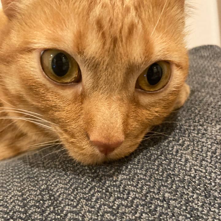 0032892c 8d07 4fbe a63a b8b551986780 1613733251997