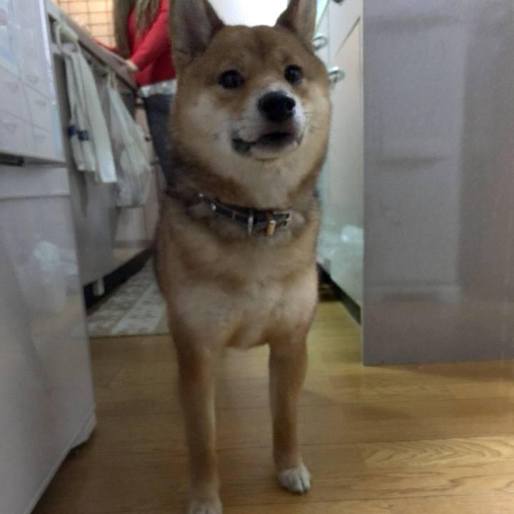 00329493 6b91 401e 9d88 fc9b3e76f245 1520849950251