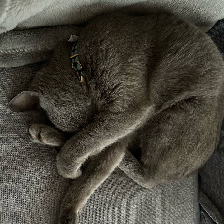 00329d8d d49e 4bb4 bb17 4e564920d549 1685333938573