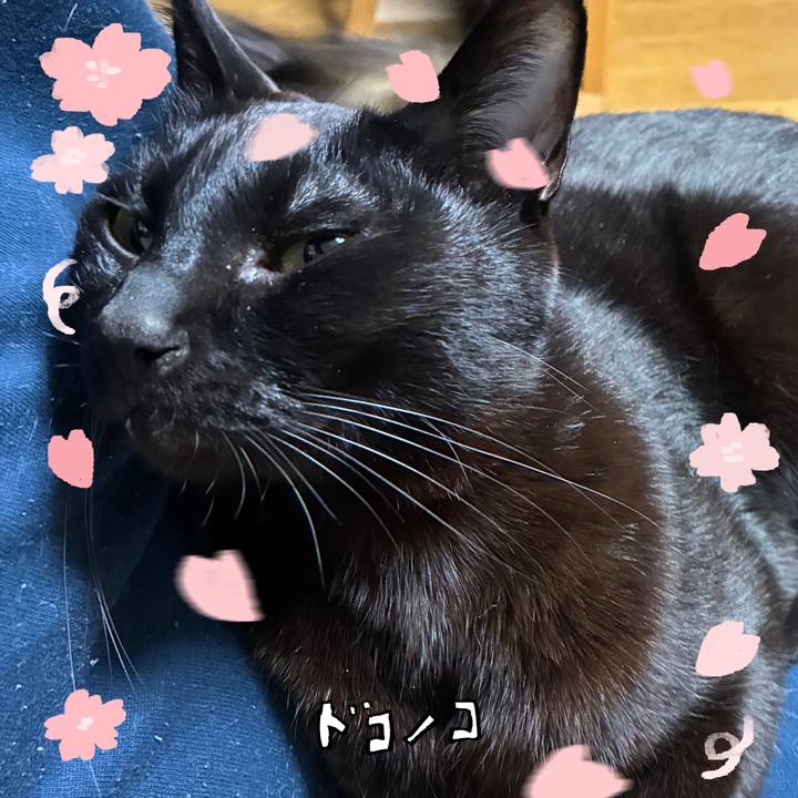 00329fca dd1d 48ce 9175 0643dfd7c49a 1744283447766