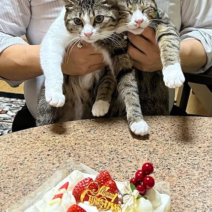 0032d983 64d0 4564 b71c 421f400f01ea 1672014799281