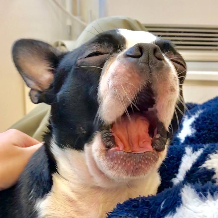 00331c69 3848 439b a667 d5b5f6286021 1513730698208