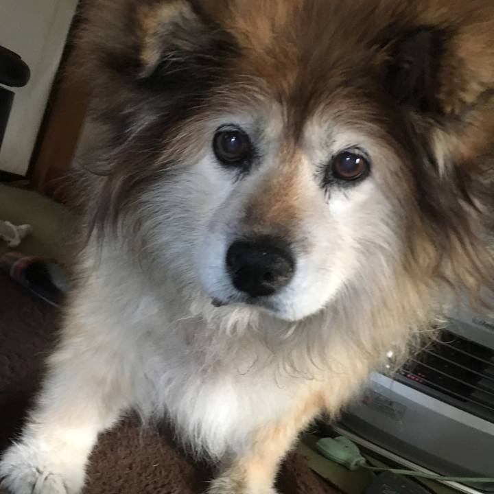 00334600 4a36 4c60 af30 4760d1754b3d 1549929490278