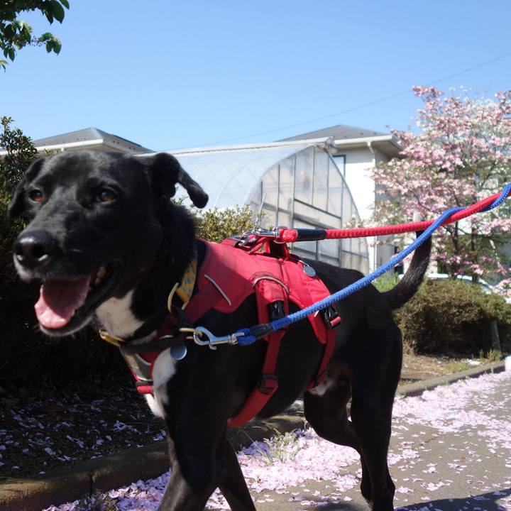 00334ded d5a5 4c80 85bf 9834b829bf88 1587776699418