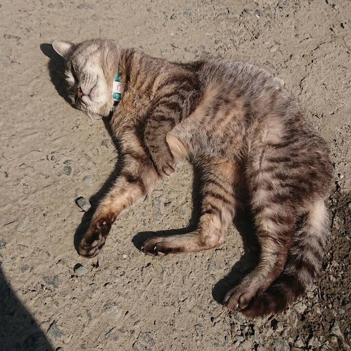 0033658b fbe8 47f5 ab05 2a3f92a58d55 1552189356809