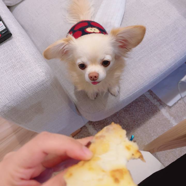 00336e90 4416 4a65 a297 db898fe966ac 1703415523372