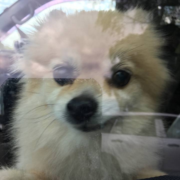 00337246 a671 44c3 ab2c 63320ed66472 1570170304051