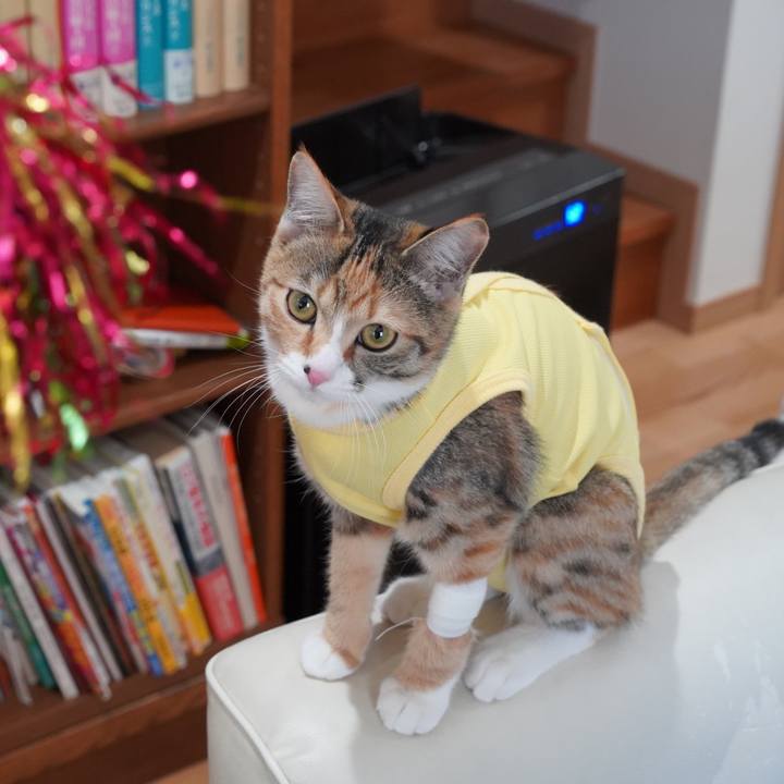 00337c89 7742 4a6d b971 28da7658c95c 1578578558878