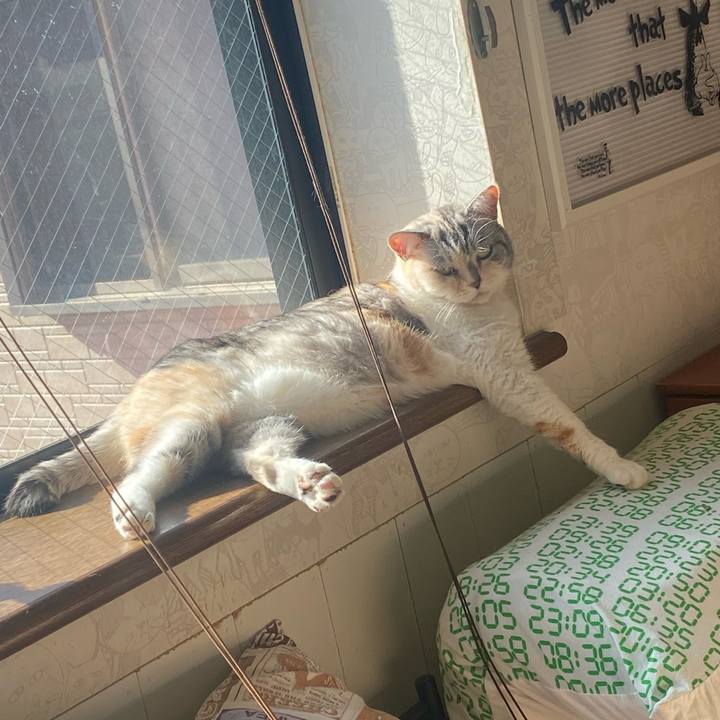 0033a141 b68d 4a53 9c9d 8bff8f956ba1 1669512542745