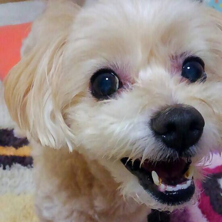 0033b524 59d5 48d1 b041 fe0a12873a18 1564276604545