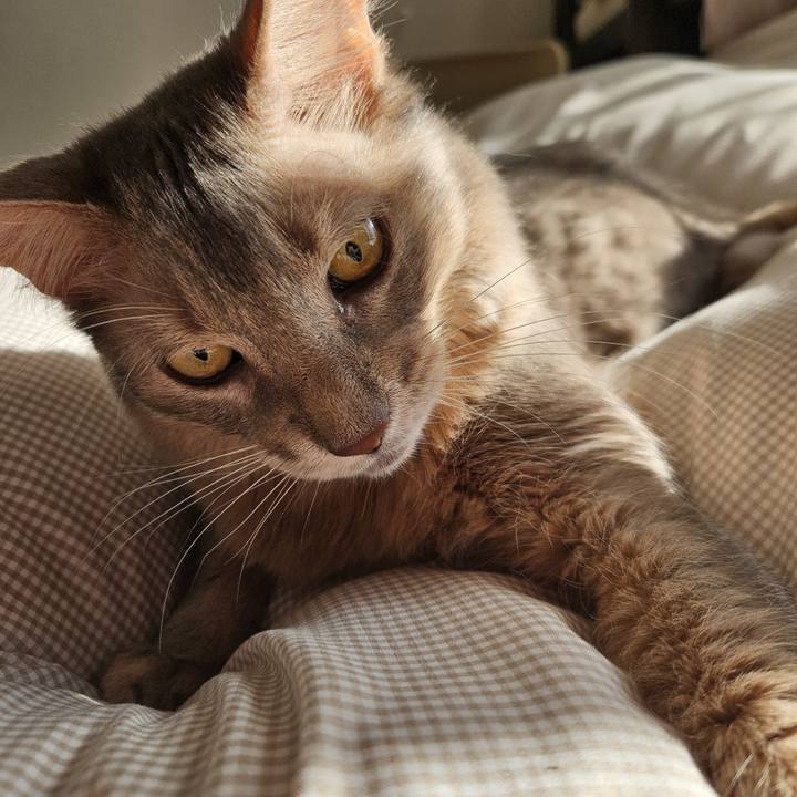 0033ce7a df29 4f52 8bbb 1367ee703f6f 1736399352206