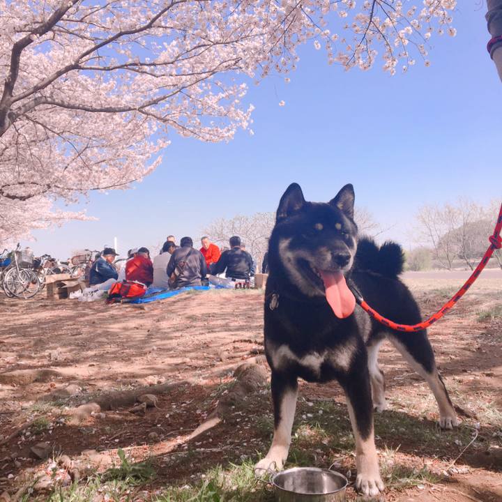 0033e409 b871 4687 99d9 c82f21b67d72 1522507431405