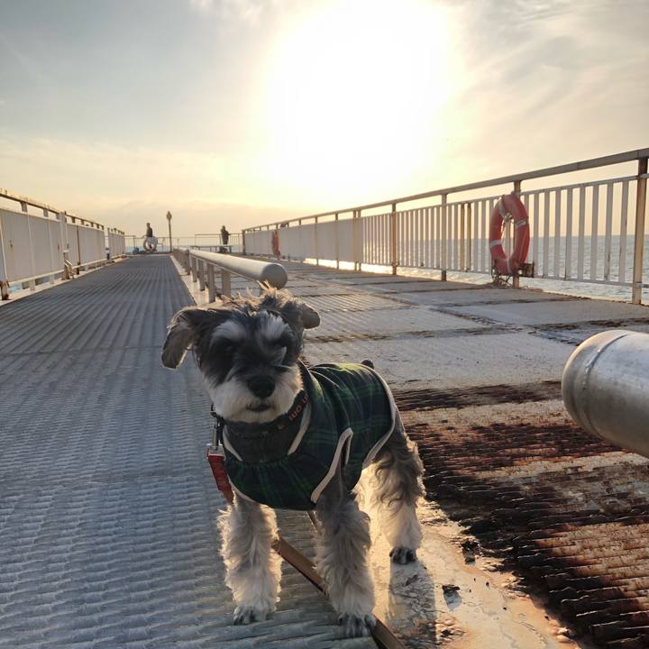 00343fae 9dc5 4e7e b59e 49261369f0d0 1668867966044