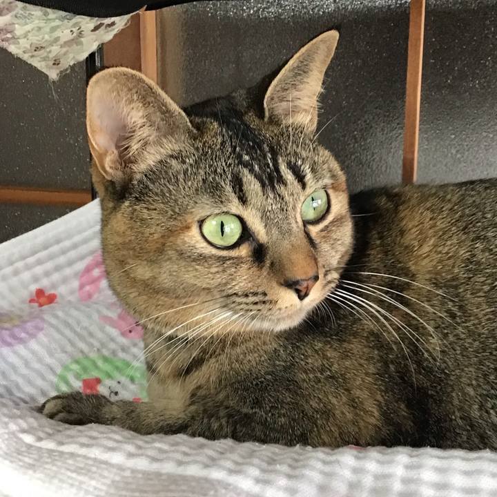 00346fc4 6aa0 430a 869d 3a25290c77d7 1637976631354