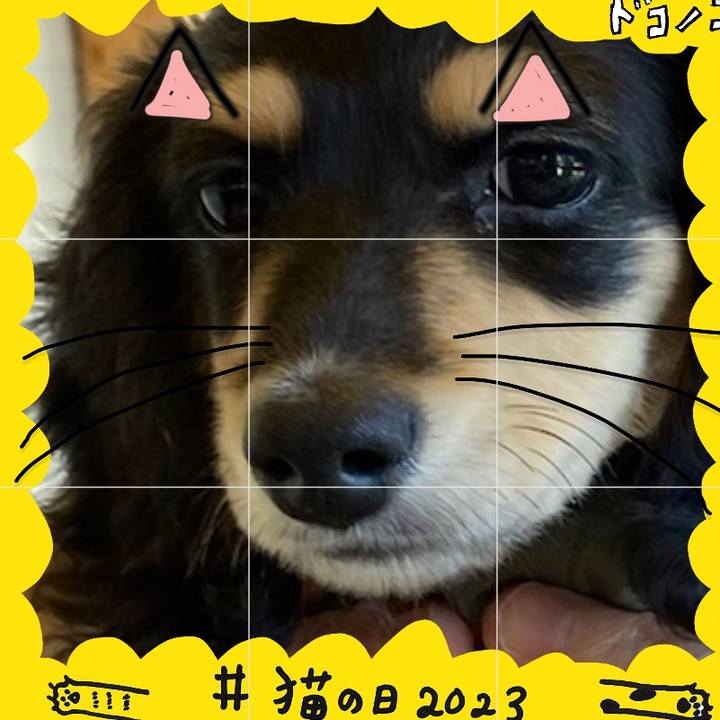 00347a33 c741 4165 93d2 a94a3b8e4779 1677030087419