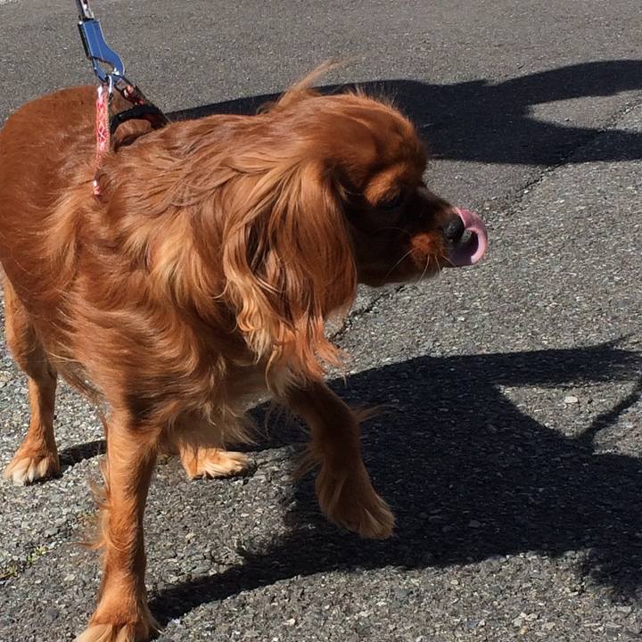 0034c4cd 8695 4d38 8fc5 23e18744ff8e 1518930546578