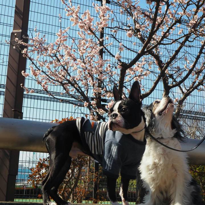 0034ebcf cfc5 4b5a a232 029ddca27223 1520666014468